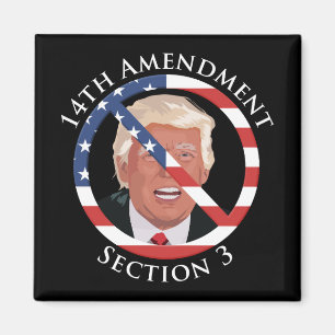 Aimant 14e amendement anti-Trump