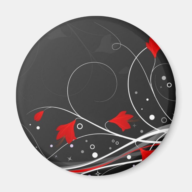 AIMANT 1 113 (Devant)