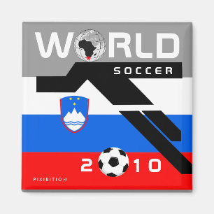 Aimant 2010 de la Slovénie de coupe du monde