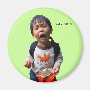 Aimant 2010 puces