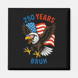 Aimant 250 Ans Bruh 250e Anniversaire Usa Aigle Et Drapea