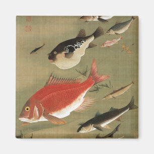 Aimant 28. 群 魚 図, 冲 Divers Poissons, Jakuchu, Japon Art若
