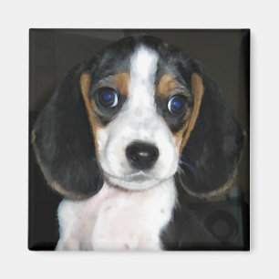 Aimant 2 de beagle