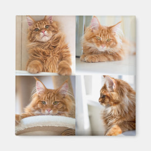 Aimant 4 Quatre Photos Collage Complet