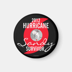Aimant 5 de survivante de Sandy d'ouragan