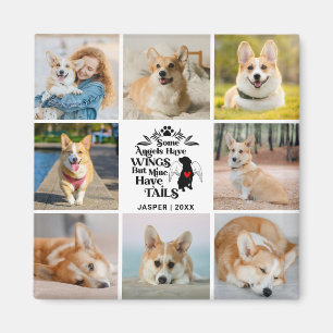 Aimant 8 Photo Collage Animaux de compagnie Chien Perte S