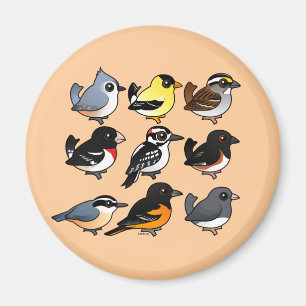 Aimant 9 oiseaux du nord-est de jardin des Etats-Unis