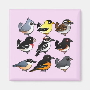 Aimant 9 oiseaux du nord-est de jardin des Etats-Unis