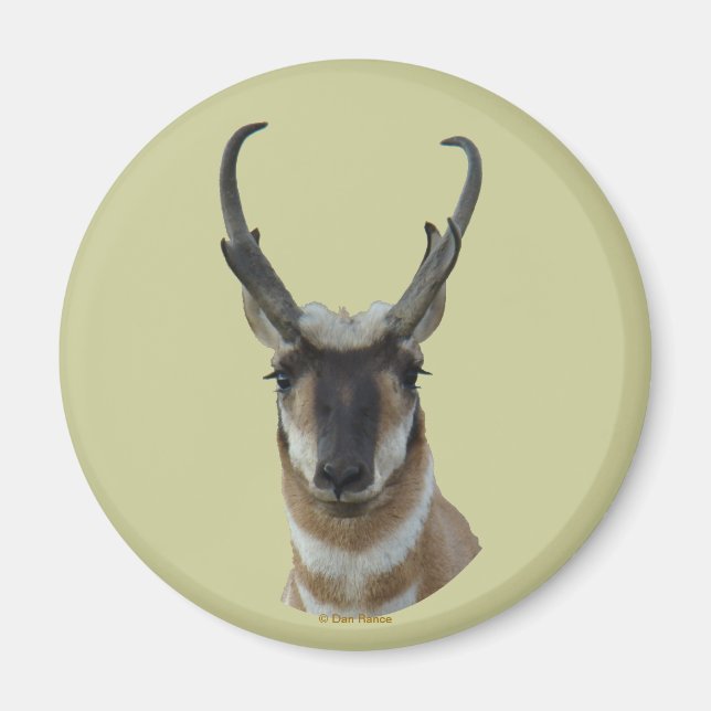 Aimant A19 Pronghorn Antelope Visage foncé Buck Head Shot (Devant)