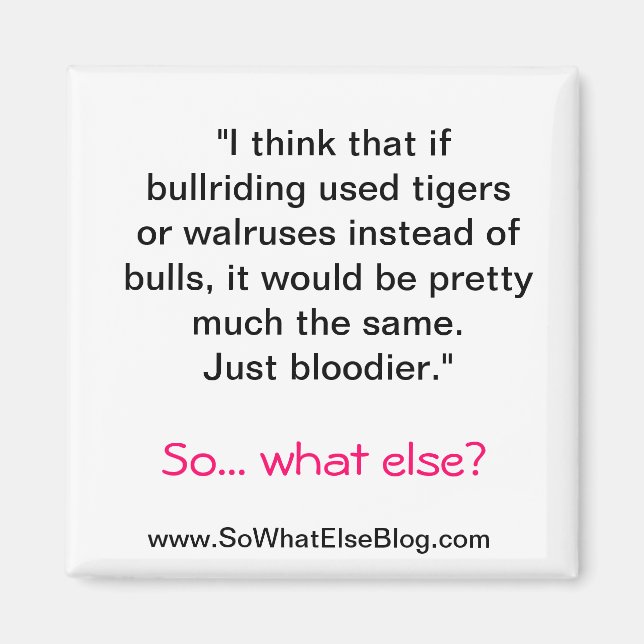 Aimant à balai (Devant)