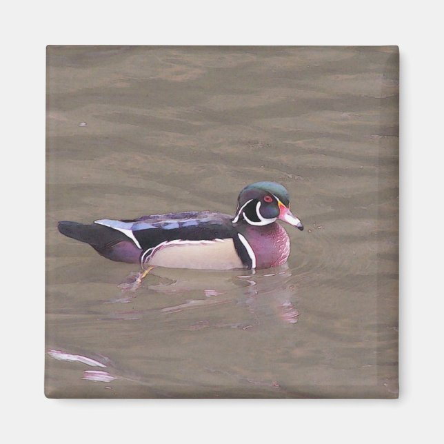 Aimant à canard de bois (Devant)