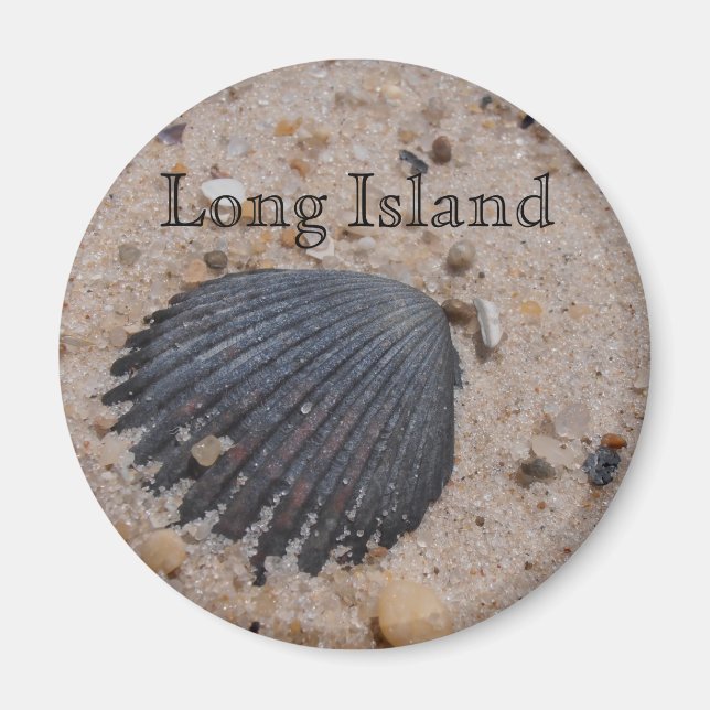 Aimant à coquille de pétoncle de Long Island (Devant)