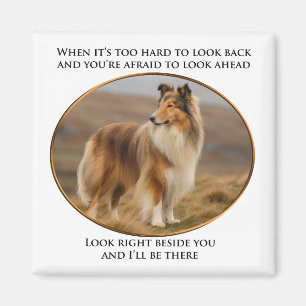 Aimant À Côté De Vous Collie