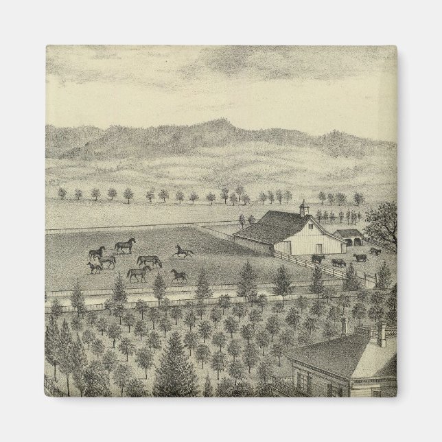 Aimant À feuillage persistant Ave (Devant)