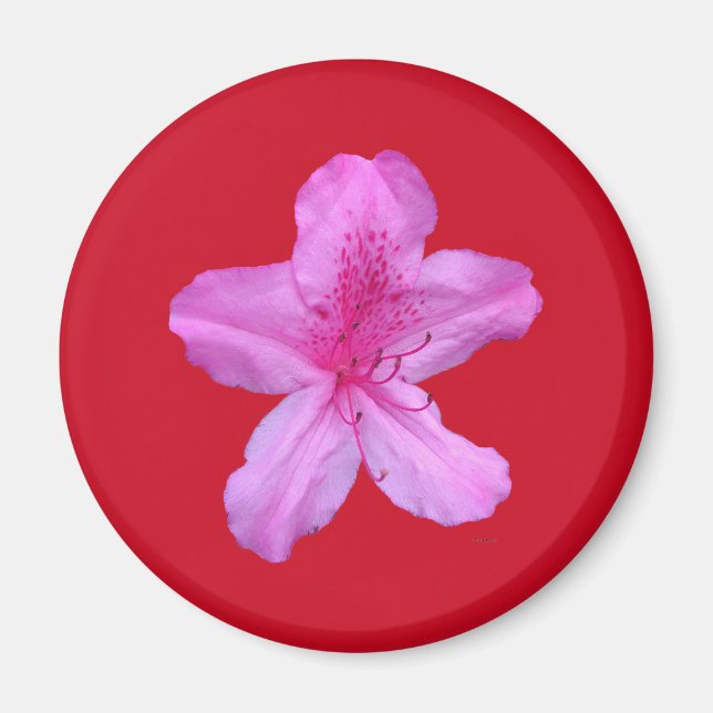 Aimant à fleur (Devant)