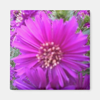 Aimant à fleur
