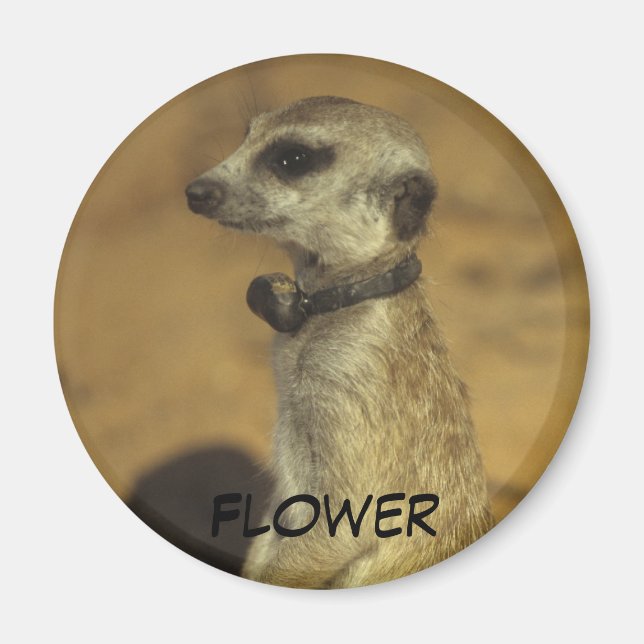 Aimant à fleur (Devant)