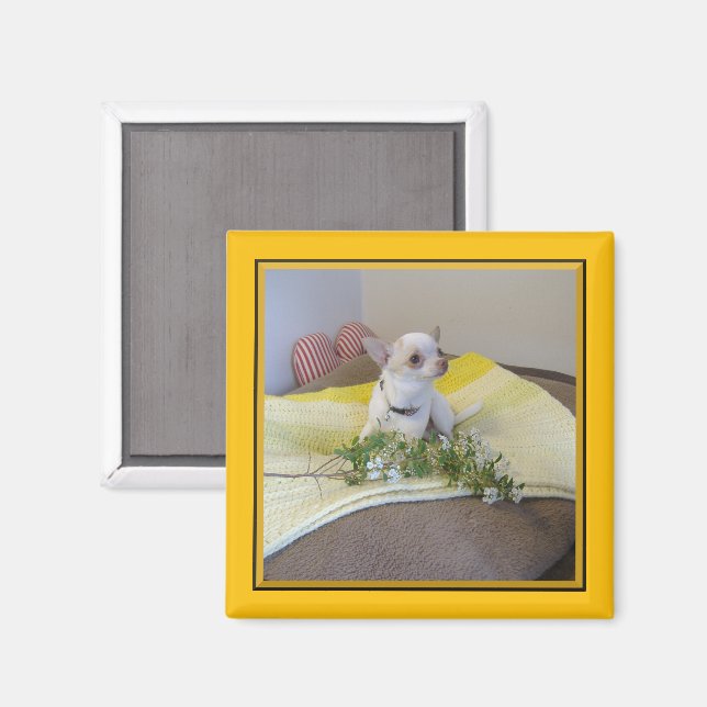 Aimant à fleur Chihuahua (Recto/Verso)