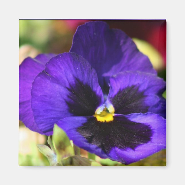 Aimant à fleur de poitrine (Devant)