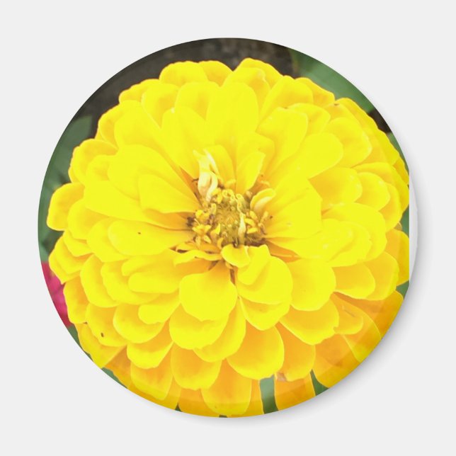 Aimant à fleur jaune (Devant)