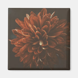 Aimant à fleur rouge pâle