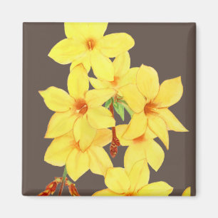 Aimant à fleurs de jasmin jaune Aquarelle
