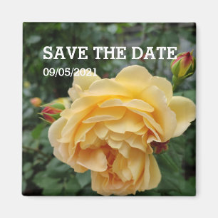 Aimant à fleurs de rose jaune