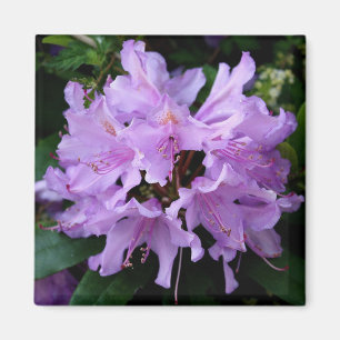 Aimant à fleurs violettes
