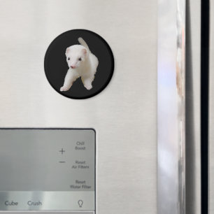 Aimant à furet pour bébé blanc