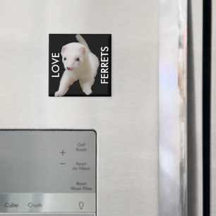 Aimant à furet pour bébé blanc