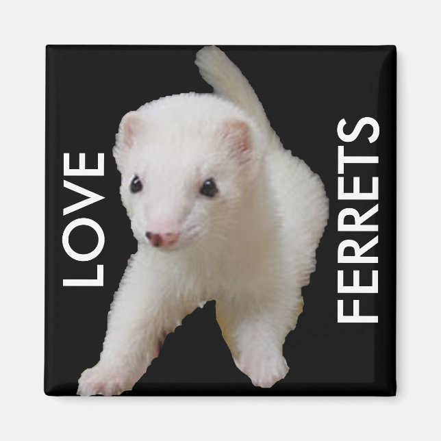Aimant à furet pour bébé blanc (Devant)