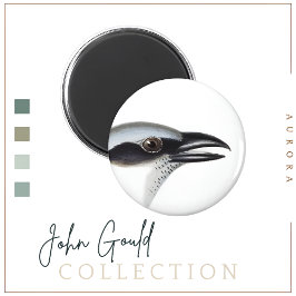 Aimant à grike de cacao à visage noir