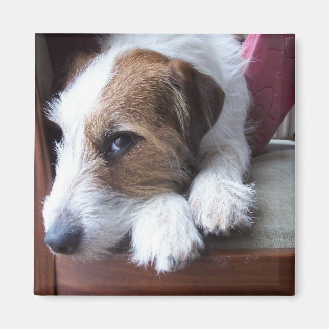 Aimant À la maison le dimanche (Devant)