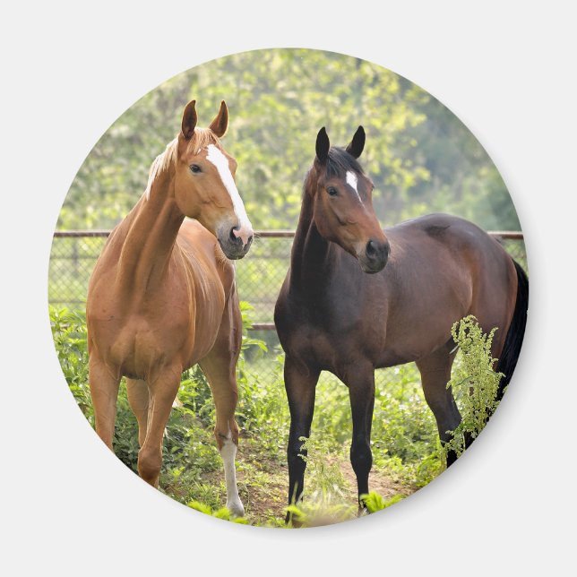 Aimant À l'attention (Devant)