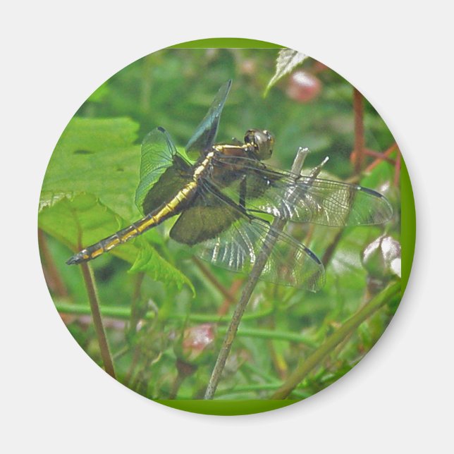 Aimant à libellule jaune (Devant)