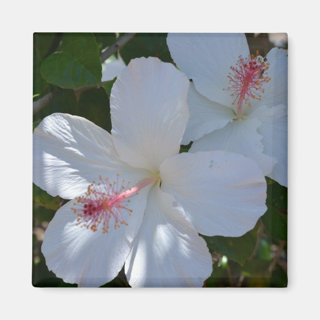 Aimant à parfum floral (Devant)