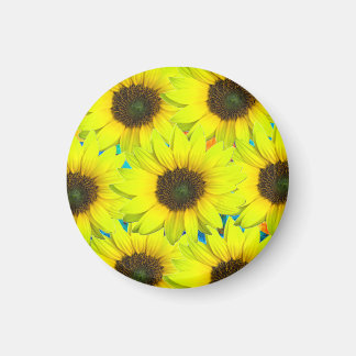 Aimant à petites fleurs jaunes de tournesol