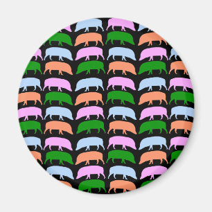 Aimant à pores multicolores