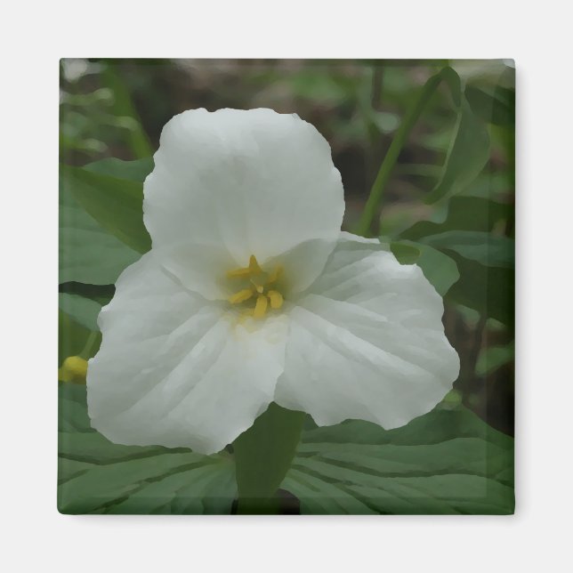 Aimant à trillium blanc (Devant)