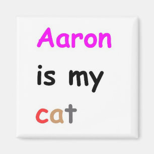 Aimant Aaron est mon chat