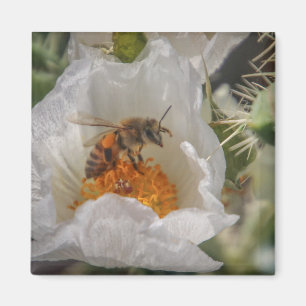 Aimant abeille