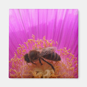 Aimant Abeille