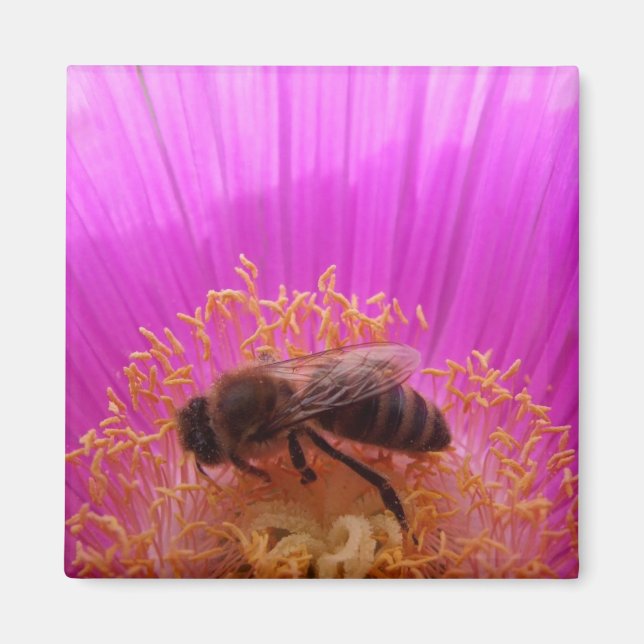Aimant Abeille (Devant)