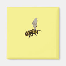 Abeille de bosse magnétique