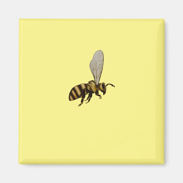 Aimant Abeille de bosse magnétique (Devant)