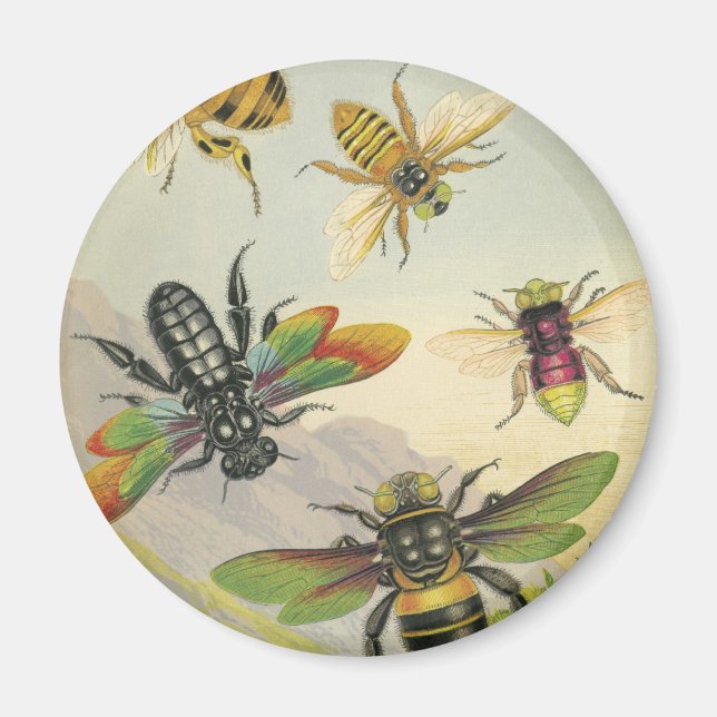 Aimant Abeilles (Devant)