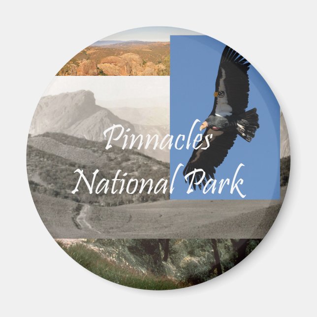 Aimant ABH Pinnacles NP (Devant)