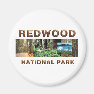 Aimant ABH Redwood