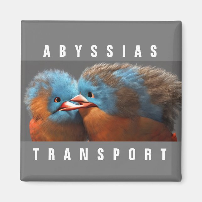 AIMANT ABYSSIAS_TRANSPORT (Devant)
