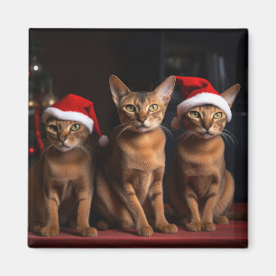 Aimant Abyssinian près de la cheminée Noël